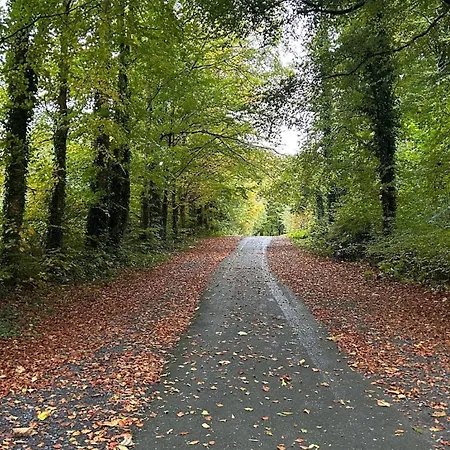 Daire King Bed Just 8 Minutes To Airport
