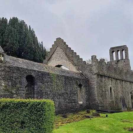 King Bed Just 8 Minutes To Airport Dublin