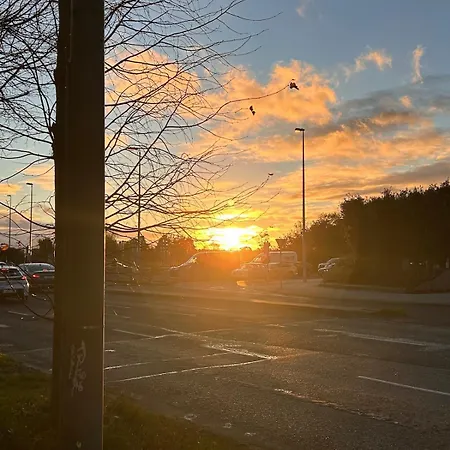 Apartment King Bed Just 8 Minutes To Airport