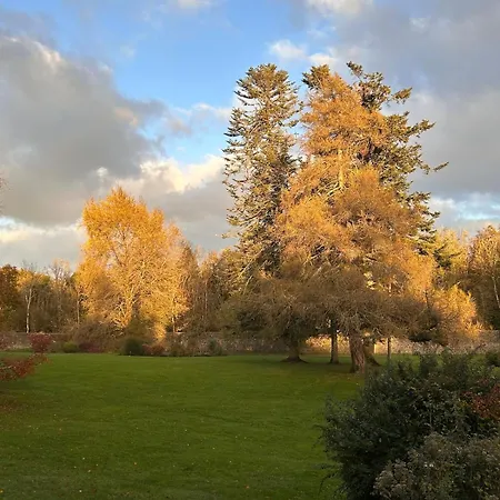 King Bed Just 8 Minutes To Airport