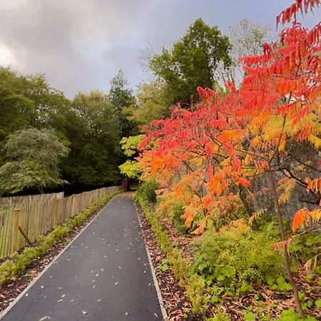 Apartment King Bed Just 8 Minutes To Airport