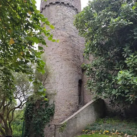 King Bed Just 8 Minutes To Airport Apartamento Dublin