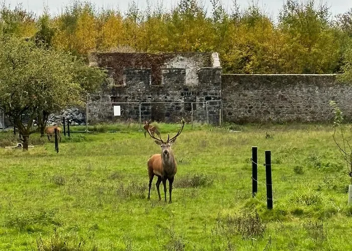 King Bed Just 8 Minutes To Airport *