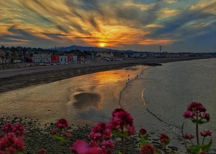 King Bed Just 8 Minutes To Airport Lejlighed *