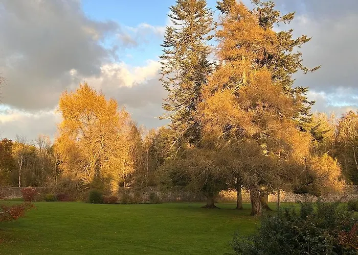 King Bed Just 8 Minutes To Airport