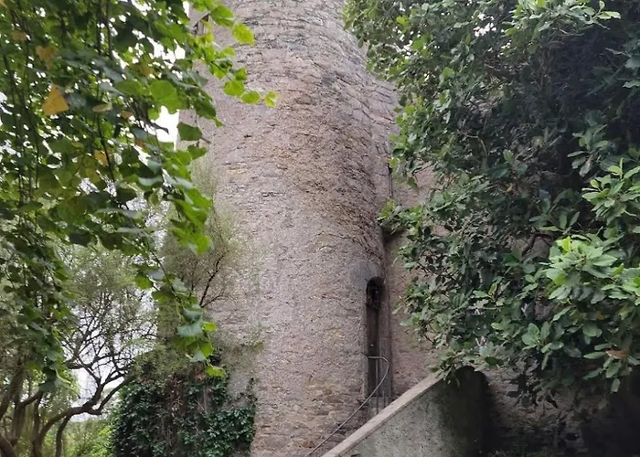 King Bed Just 8 Minutes To Airport Lejlighed Dublin