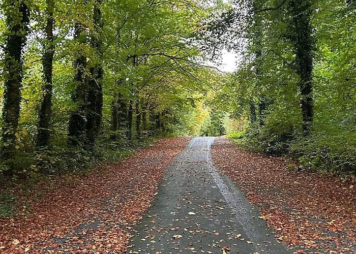 Lejlighed King Bed Just 8 Minutes To Airport