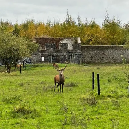 King Bed Just 8 Minutes To Airport *